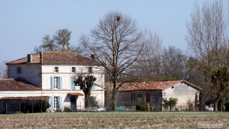 Le Moulin de Ventuzeau avant la LGV. - Roullet-Saint-Estèphe