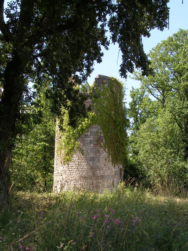 MOULIN DE ST PREUIL - Saint-Preuil