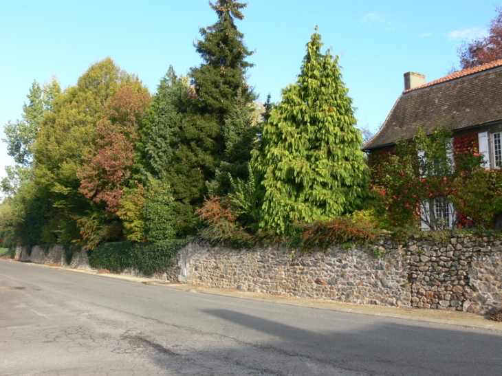 La route de la peruse - Suris