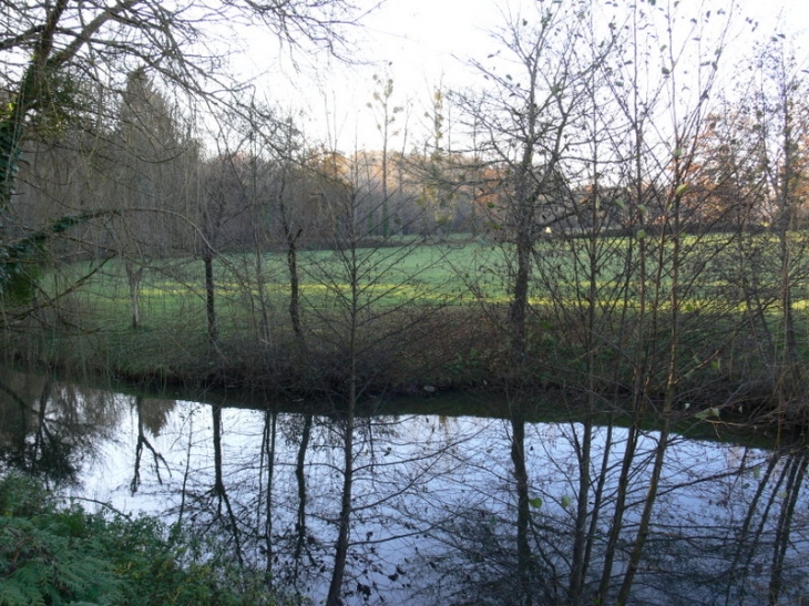 Les bords de la charente - Suris