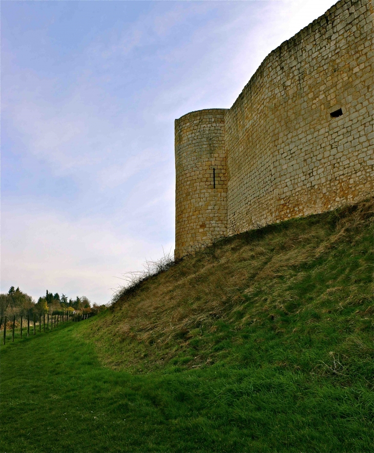 Le château - Villebois-Lavalette