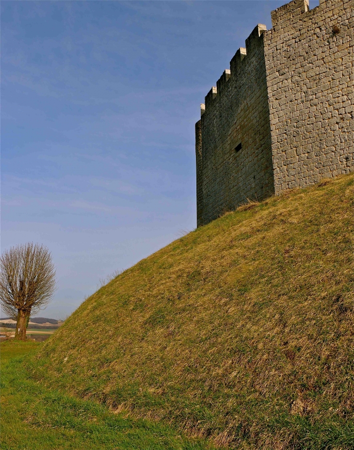 Le château - Villebois-Lavalette