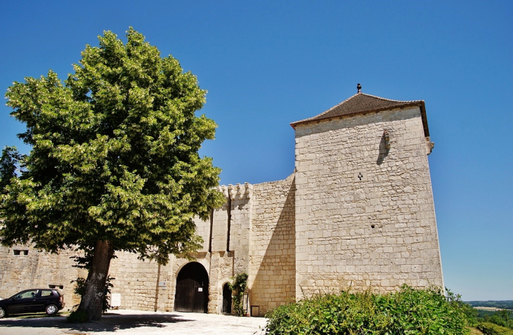 Château  - Villebois-Lavalette