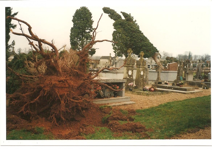 Le cimetière après la tempête de 1999 - Yvrac-et-Malleyrand