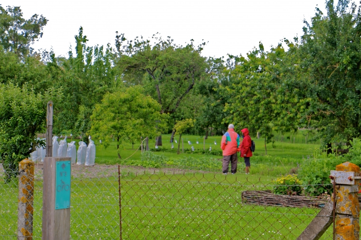 Un jardin du village. - Amuré