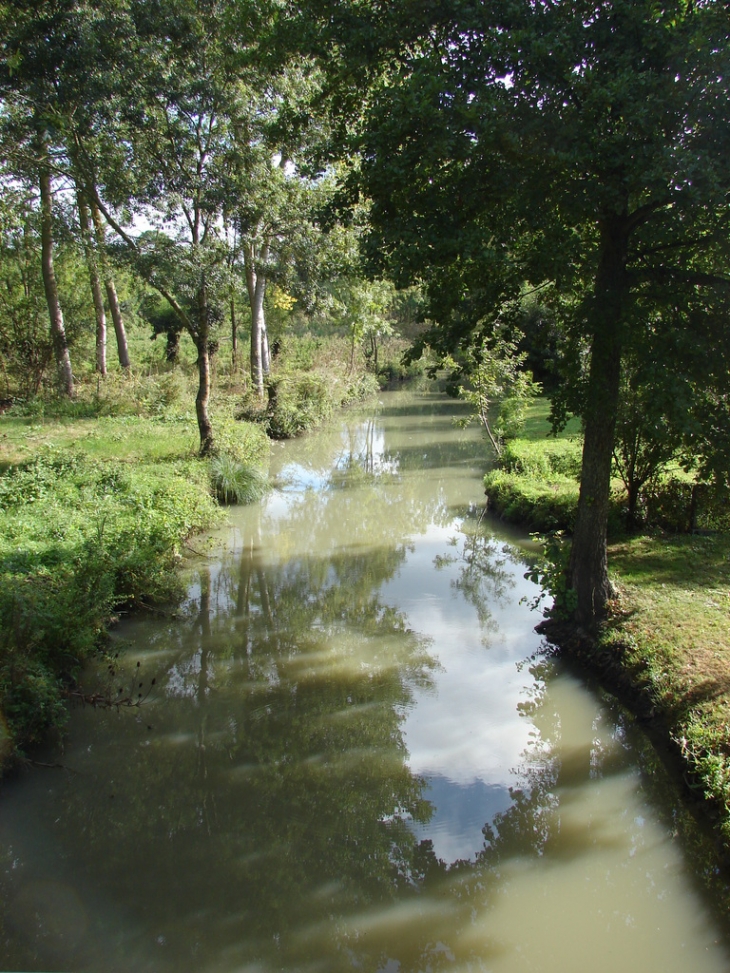 Le Marais - Arçais