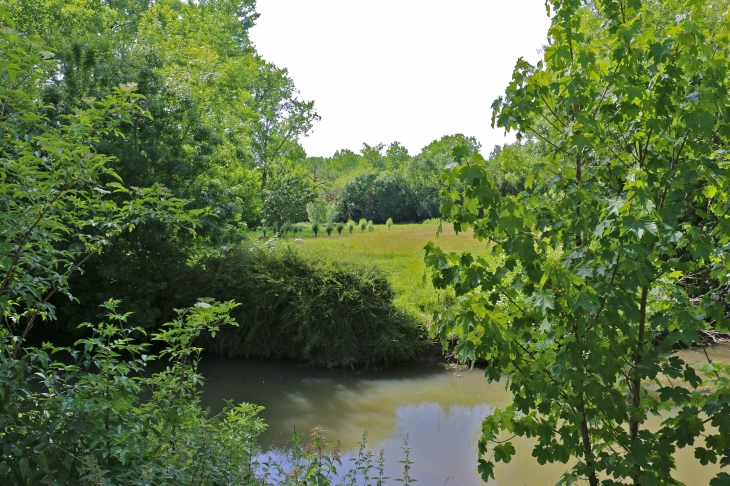 Le-long-du-marais-mouille- le bief Minet. - Arçais