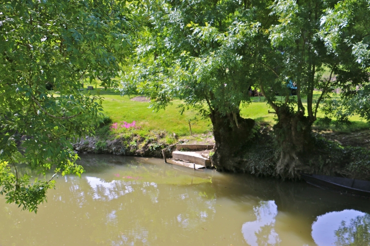 Le-long-du-marais-mouille - le bief Minet. - Arçais