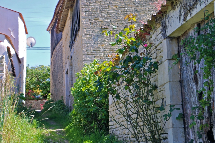 Au nord, le quartier de la Garenne est remarquable pour ses fermes à double accès qui s'étirent le long du bief Minet. - Arçais