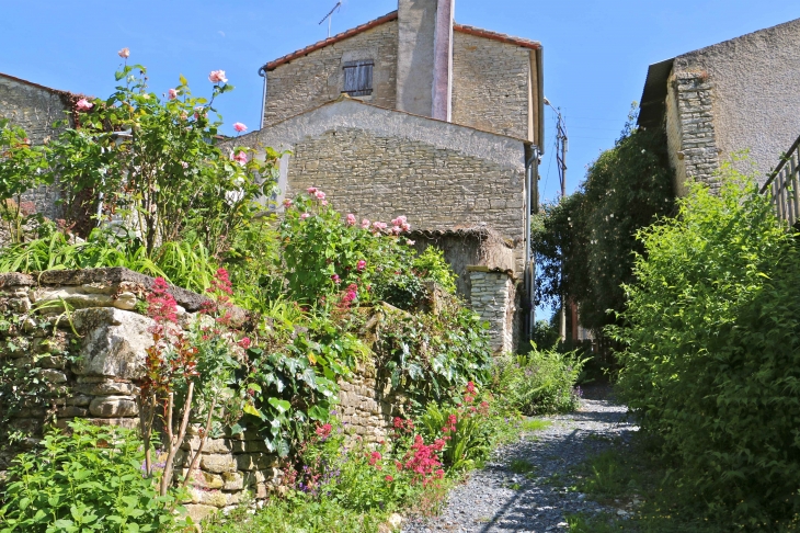 Au nord, le quartier de la Garenne est remarquable pour ses fermes à double accès qui s'étirent le long du bief Minet. - Arçais