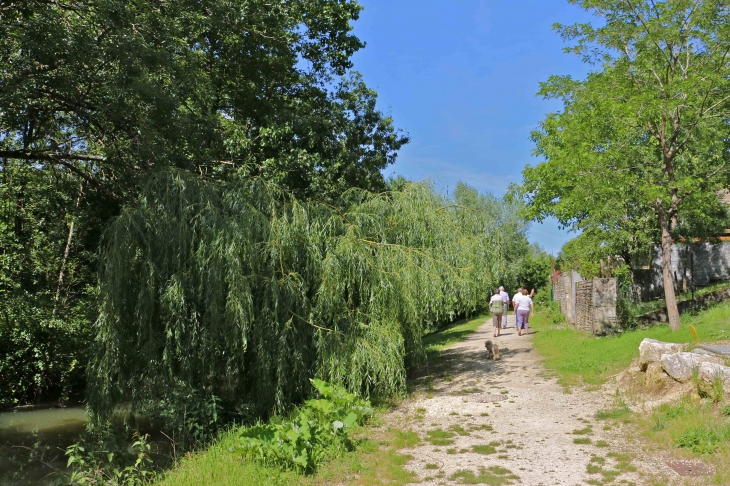 Le chemin le long du bief Minet. - Arçais