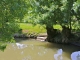 Photo précédente de Arçais le-long-du-marais-mouille - le bief Minet.