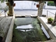 Photo précédente de Augé LE LAVOIR