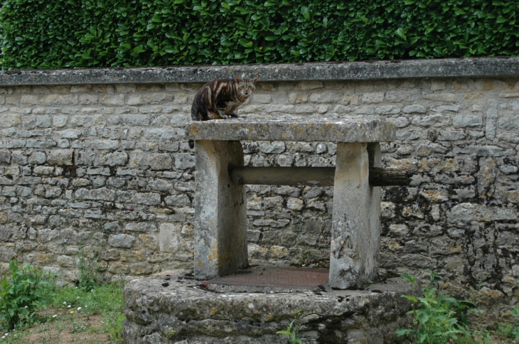 Puits à MONS - Azay-le-Brûlé