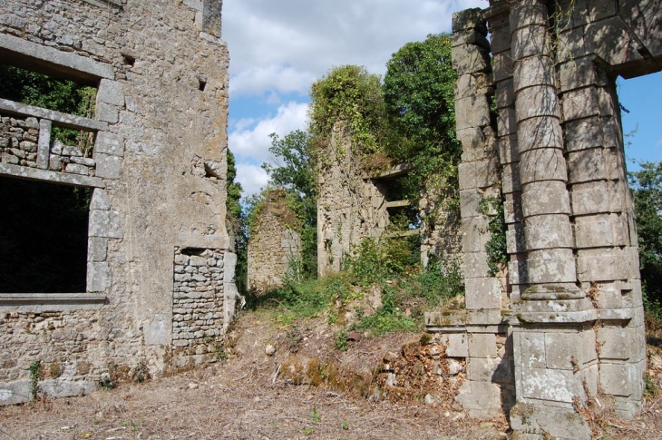 Chateau de La Meilleraye , ruines - Beaulieu-sous-Parthenay