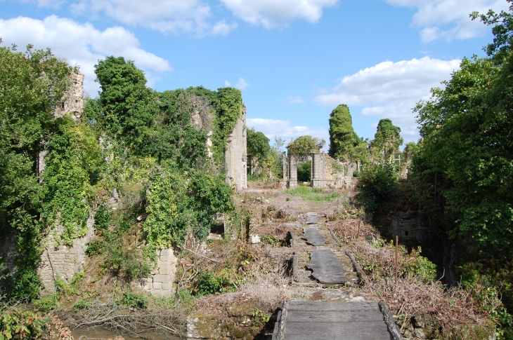 RFuines du CVhateau de la Meilleraye  - Beaulieu-sous-Parthenay