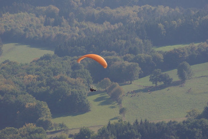 Vol aux monedieres - Beaussais