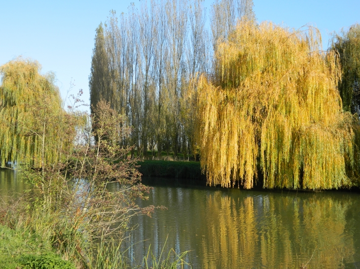 Le marais poitevin - Celles-sur-Belle