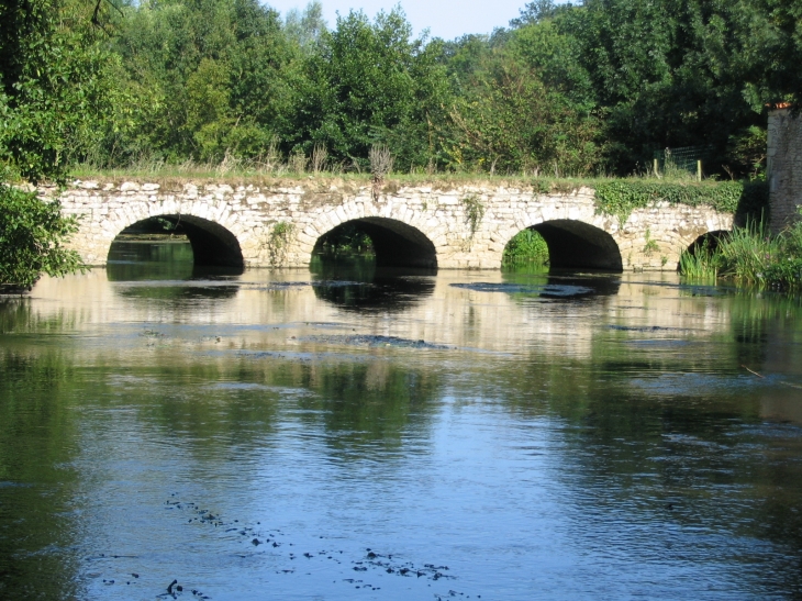 Pont sur la Sévre Niortaise - Chauray