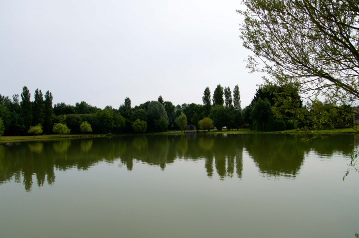 L-etang-du-chateau-de-javarzay - Chef-Boutonne