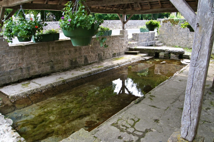 Le Lavoir du château de Javarzay. - Chef-Boutonne