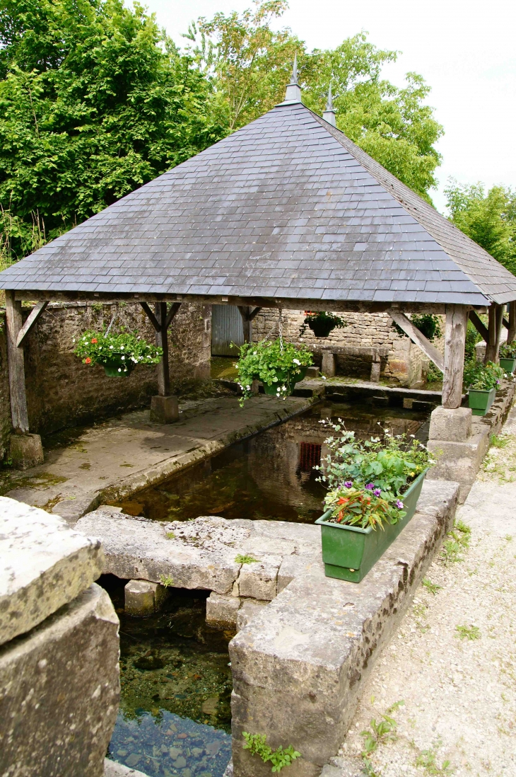 Le Lavoir du château de Javarzay. - Chef-Boutonne