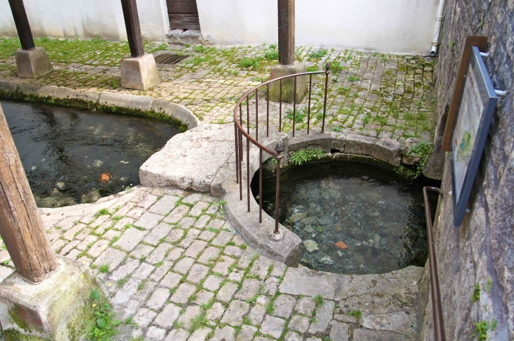 La source de la Boutonne. - Chef-Boutonne