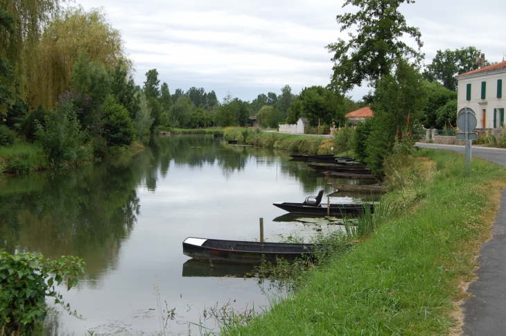 Le grand canal à Coulon