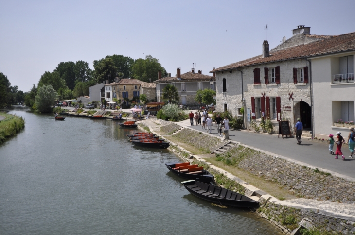 LES BORDS DE LA SEVRE - Coulon