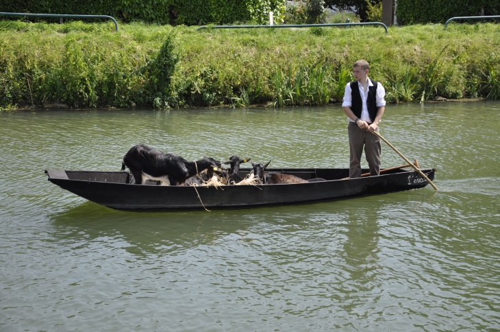 COULON LA FETE DU MIJET