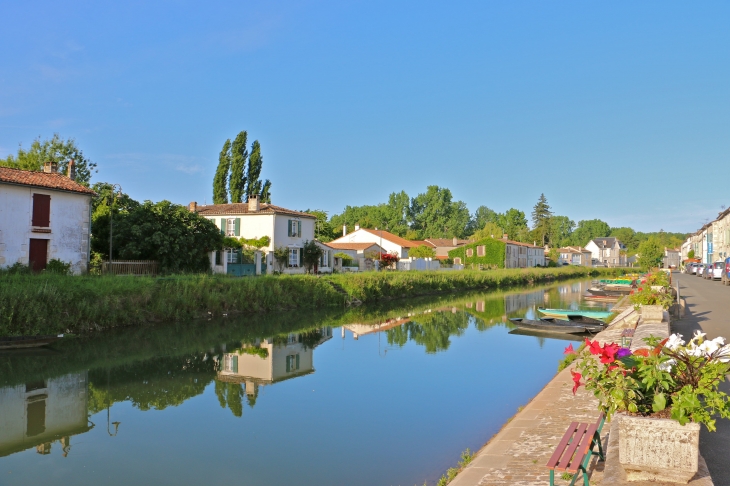 Le quai Louis Tardy. - Coulon