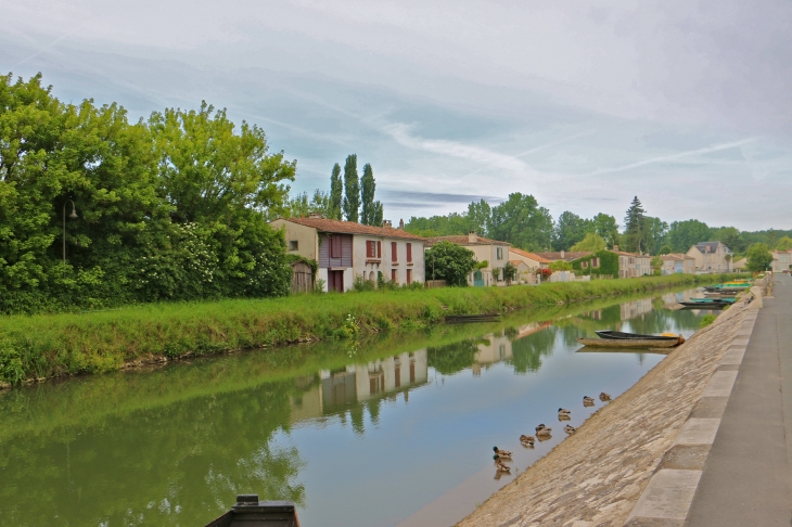 La Sèvre Niortaise au petit matin. - Coulon