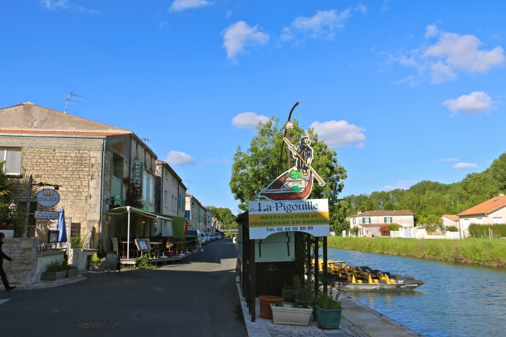 Sur le bord de la Sèvre Niortaise. - Coulon