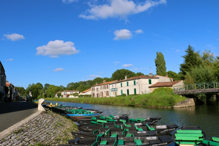 Sur les bords du quai. - Coulon