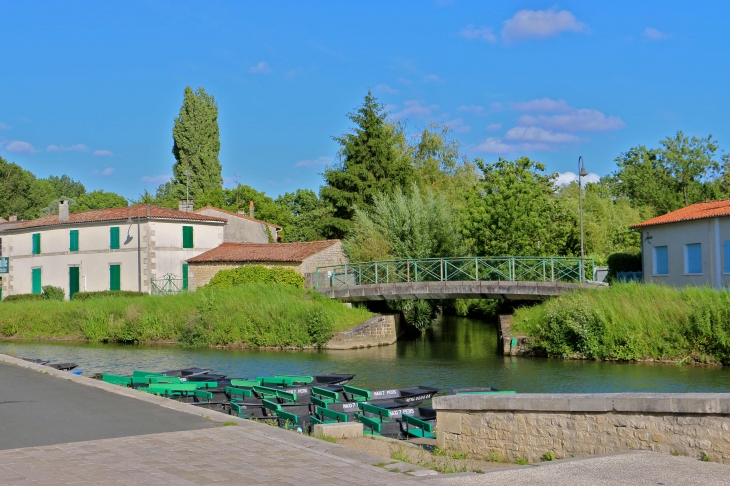 Sur les bords du quai. - Coulon