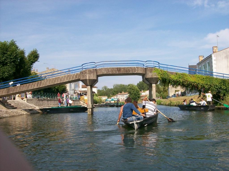 La passerelle de Coulon