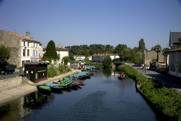 La sèvre niortaise à Coulon