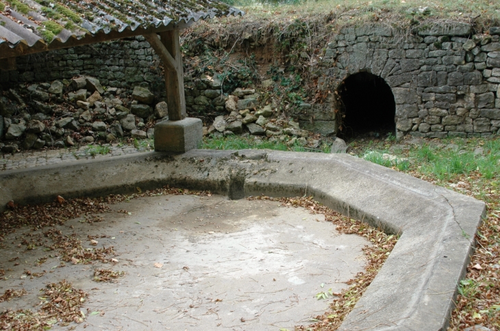 Lavoir de Magné et son bassin hexagonal  - Coulonges-sur-l'Autize