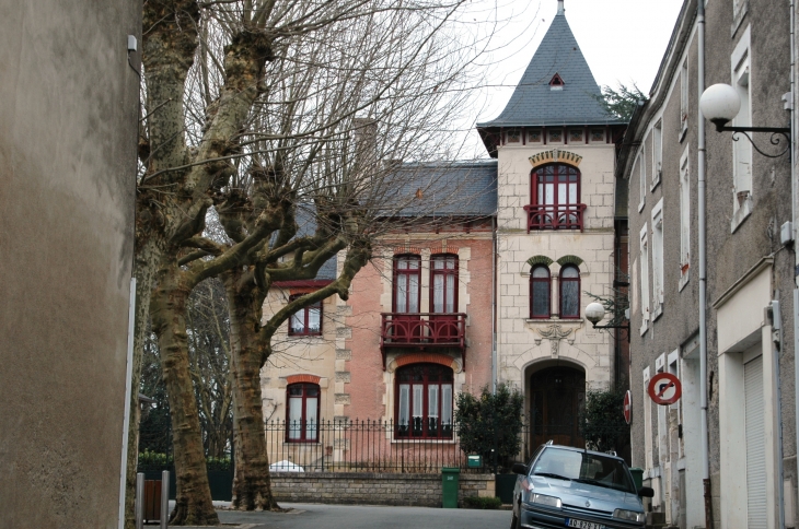 Belle maison  - Coulonges-sur-l'Autize