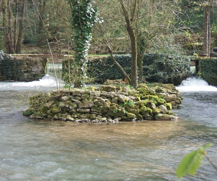 La SEVRE NIORTAISE caresse les rives et les ilots dans exoudun