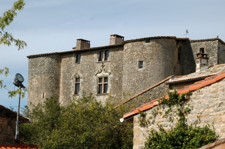 Chateau médiéval d'Exoudun