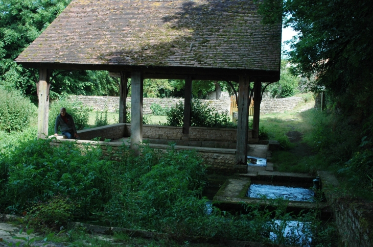 Lavoir et fontaine bouillonnante  - Exoudun