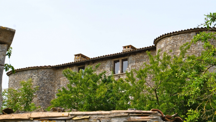 Ancien château fort dit château Rasé origine XIIe ou XIIIe, restauré au XVe et au XVIIIe. - Exoudun