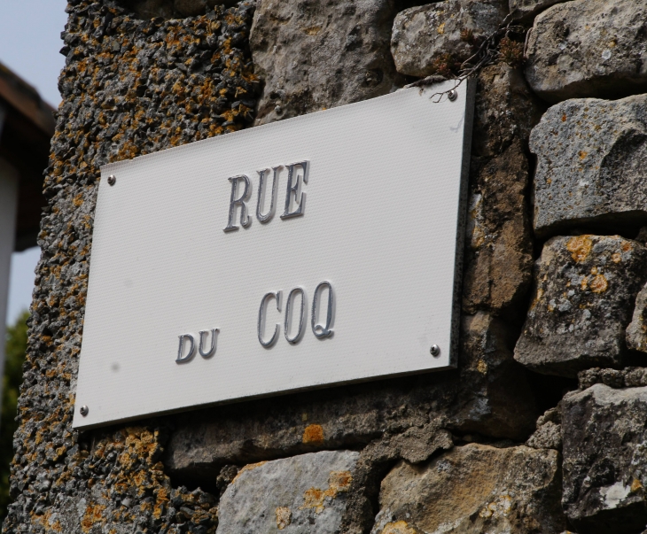 Rue du Coq - Exoudun