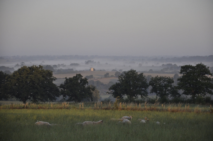 LA CAMPAGNE DE GOURGE - Gourgé