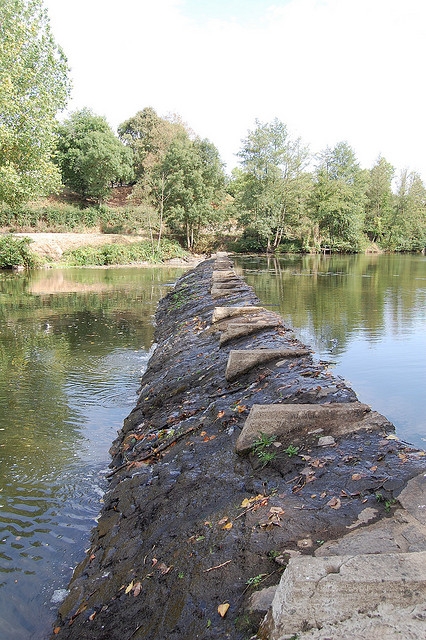 Chemin sur l'eau - Gourgé