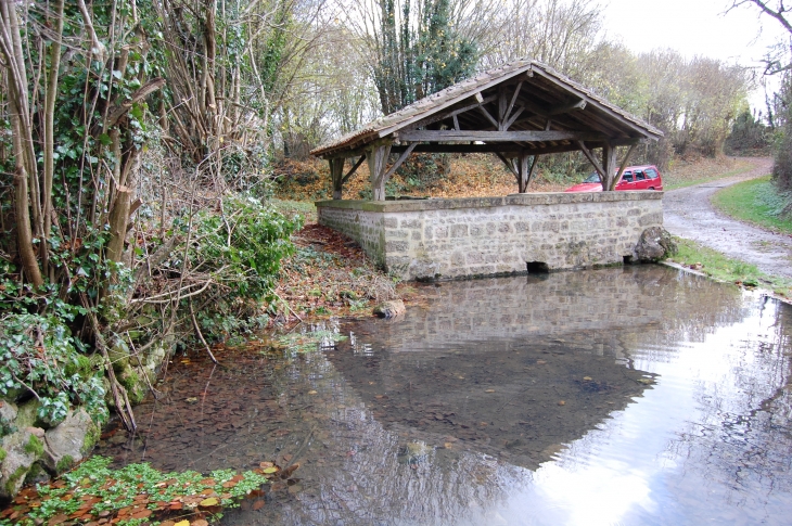 Lavoir de la Fontaine érable  - La Couarde