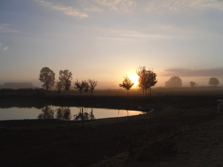 Coin de campagne Coudraise au lever du soleil... - La Coudre