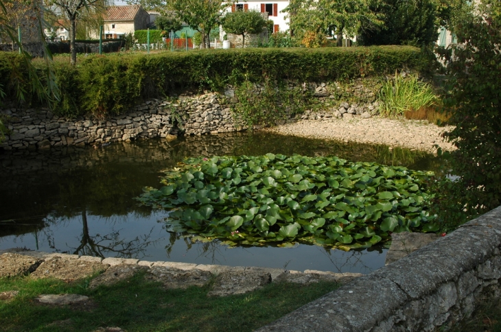 La Mare à Migault à CHAVAGNE - La Crèche