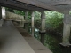 Lavoir de La crèche 